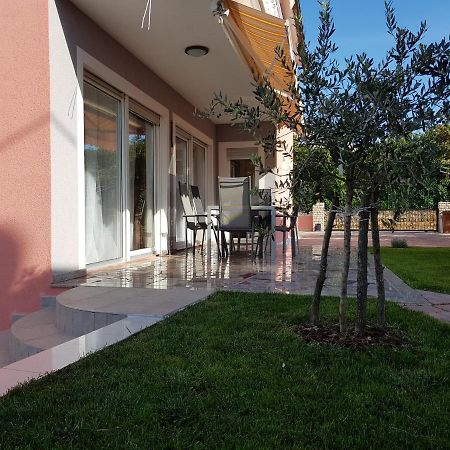 Ferienhaus Bucic Buje Exteriör bild